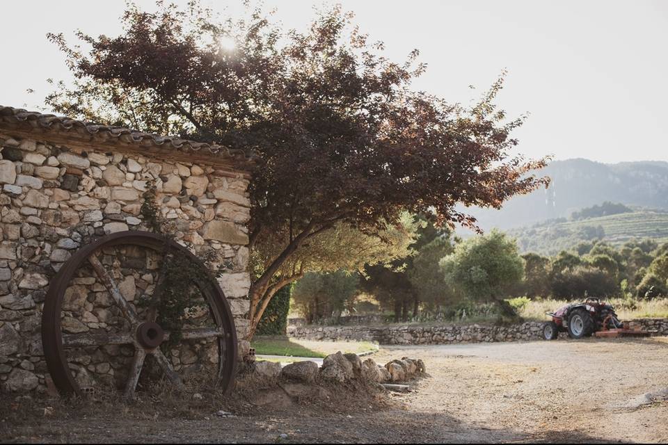Mas del Sord