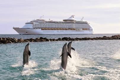 Navegando entre delfines