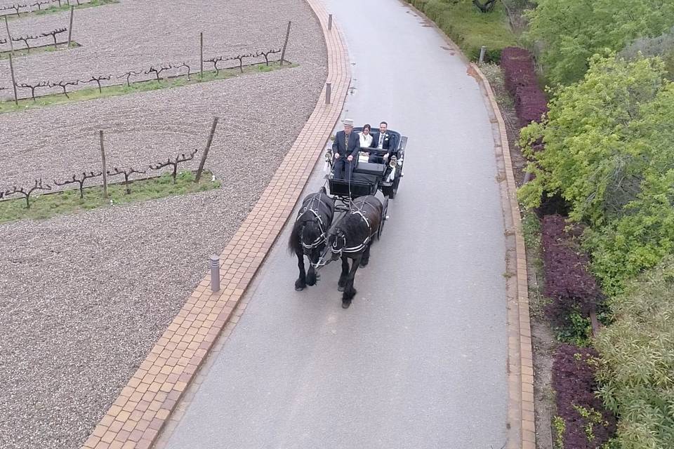 Coche de caballos