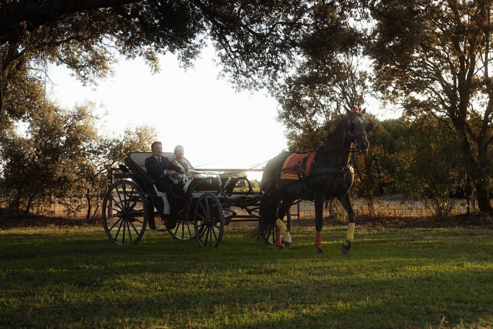 Finca Casaes