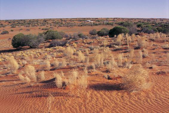 New South Wales