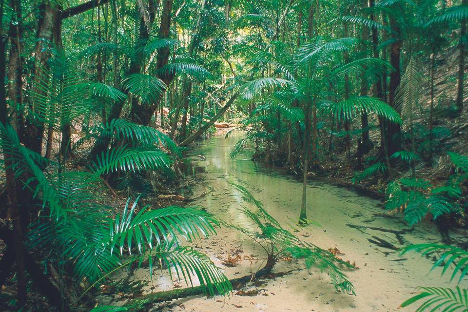 Fraser Island, Queensland