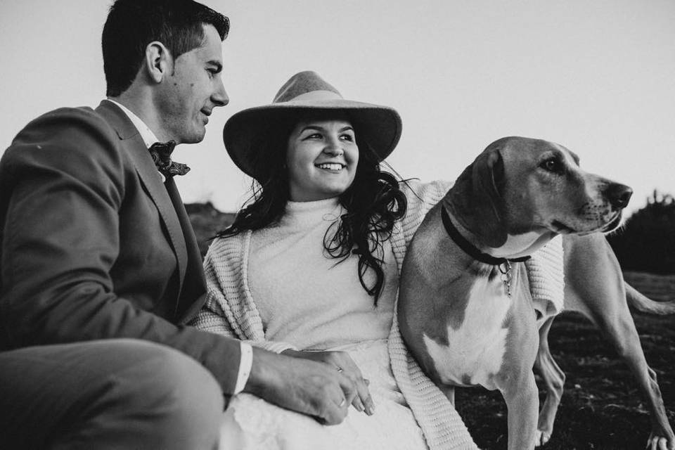 Bodas y mascotas