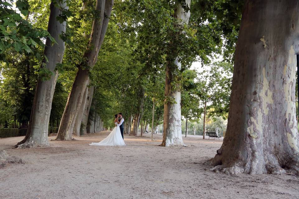 Elena & Christian