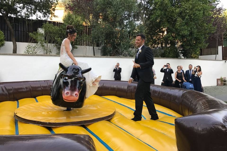 Novios toro mecanico 1