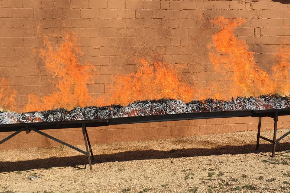 Pinchos de Lechazo