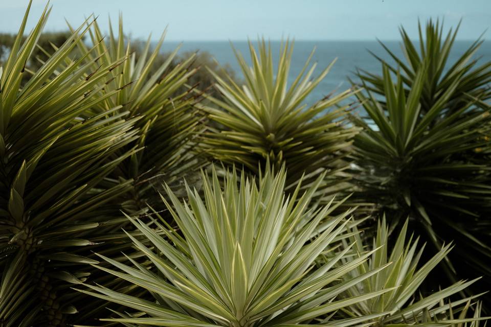 Jardín