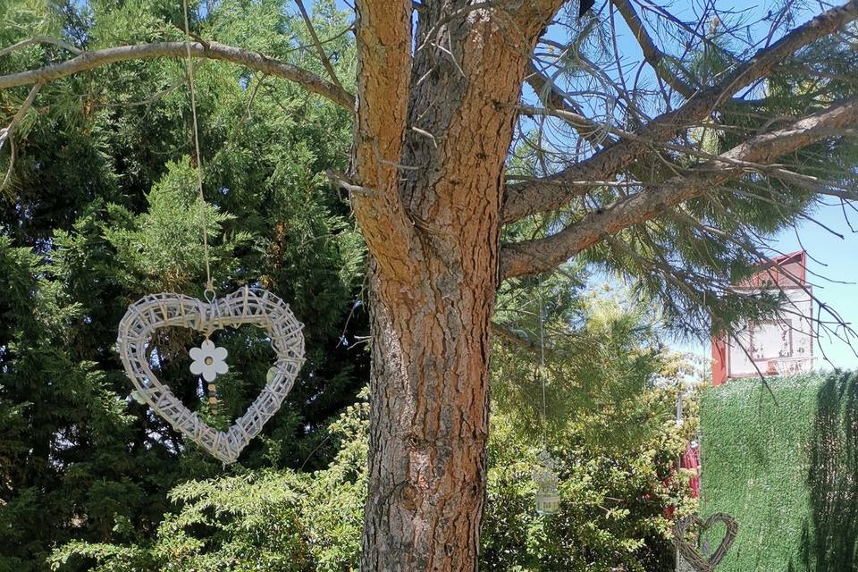 Jardín