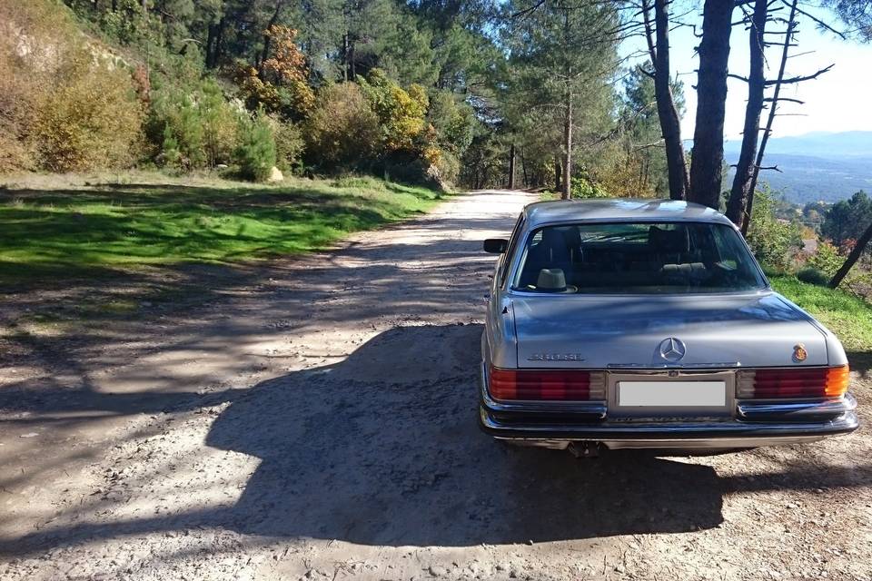 Mercedes Clase S acodicionado