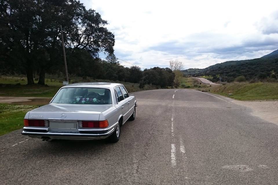 Mercedes Clase S acodicionado