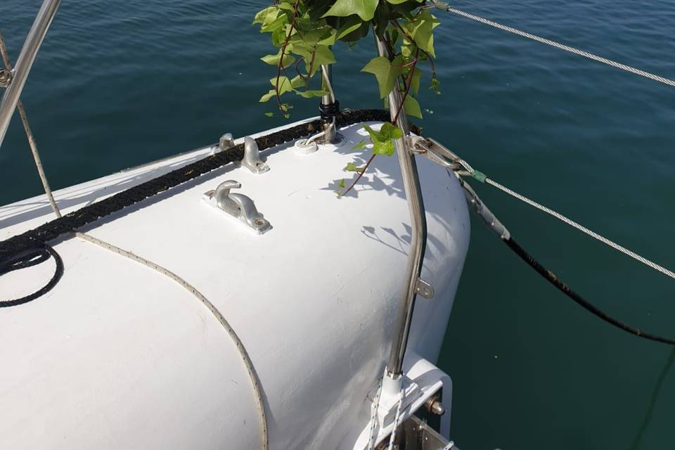 Bodas en barco