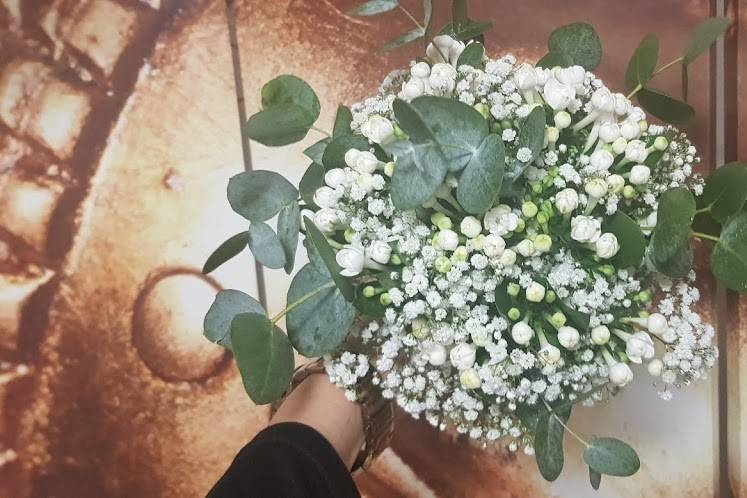 Floristeria Petunia