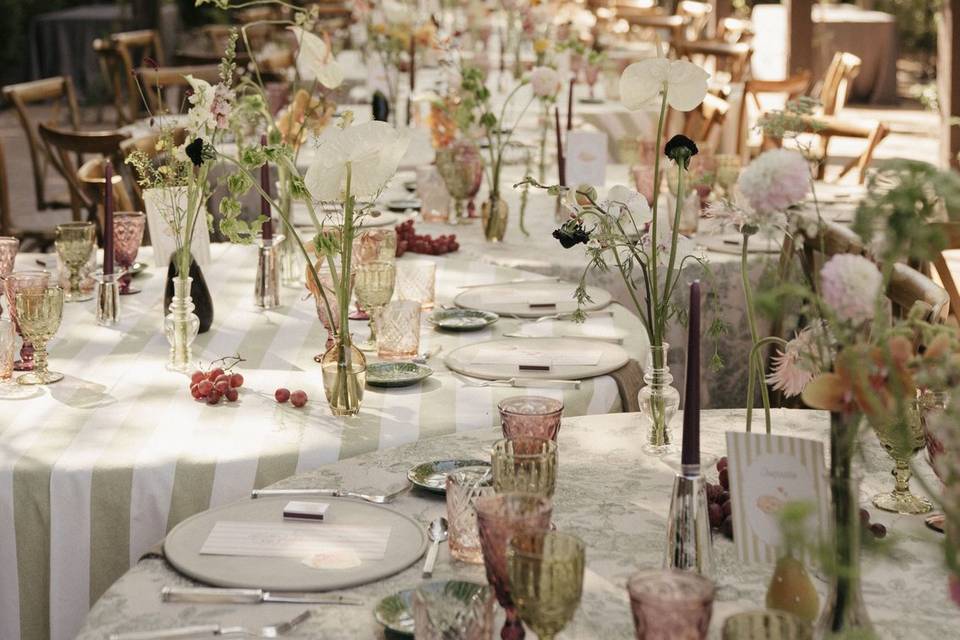 Banquete - Catalina