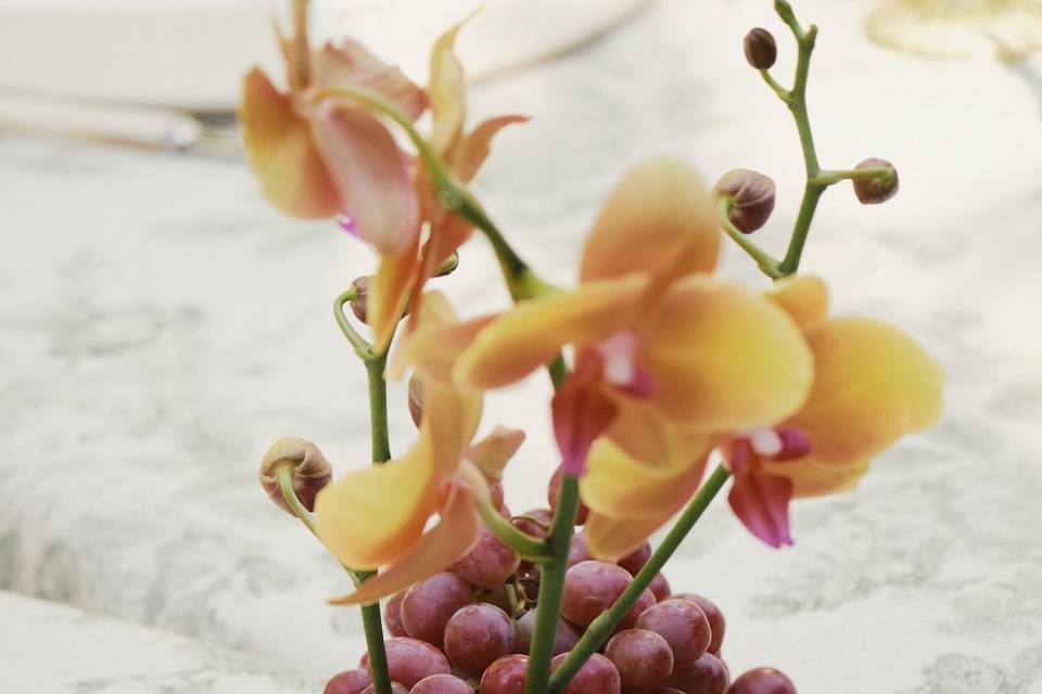 Ikebana con fruta - Catalina