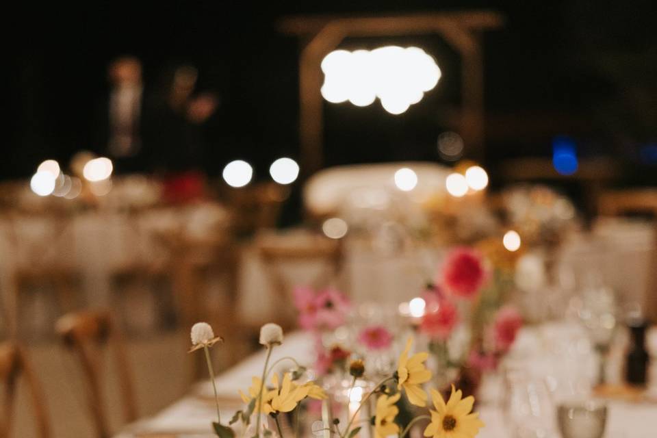 Banquete - Masia Vilasendra