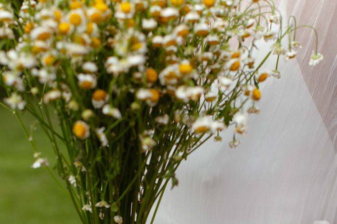 Ramo de Tanacetum
