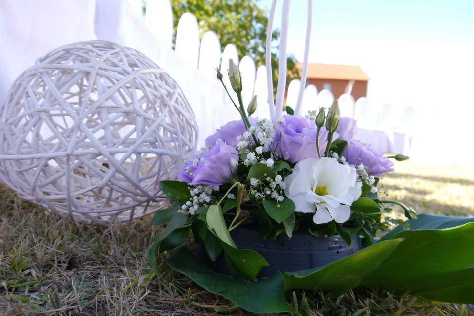 Doosis Bodas y Eventos