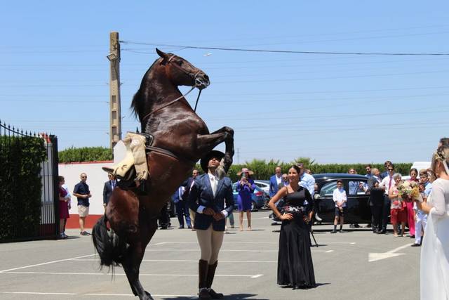 Caballos Carbonell