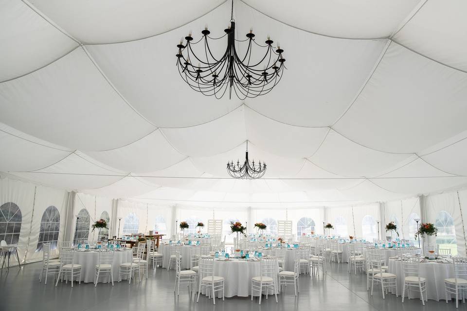 Carpa banquete