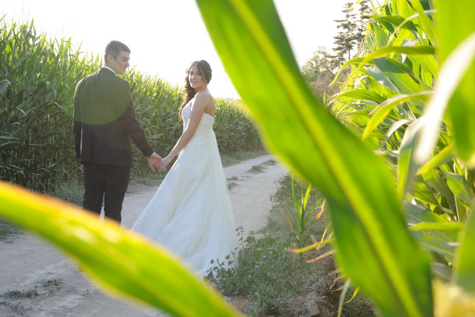 El Día de Tu Boda ©