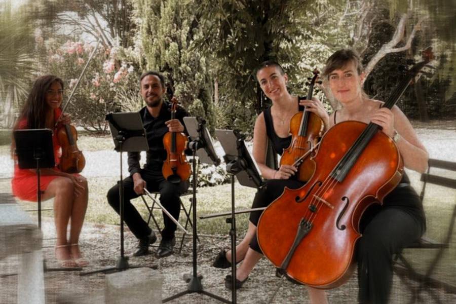 Cuarteto en cóctel