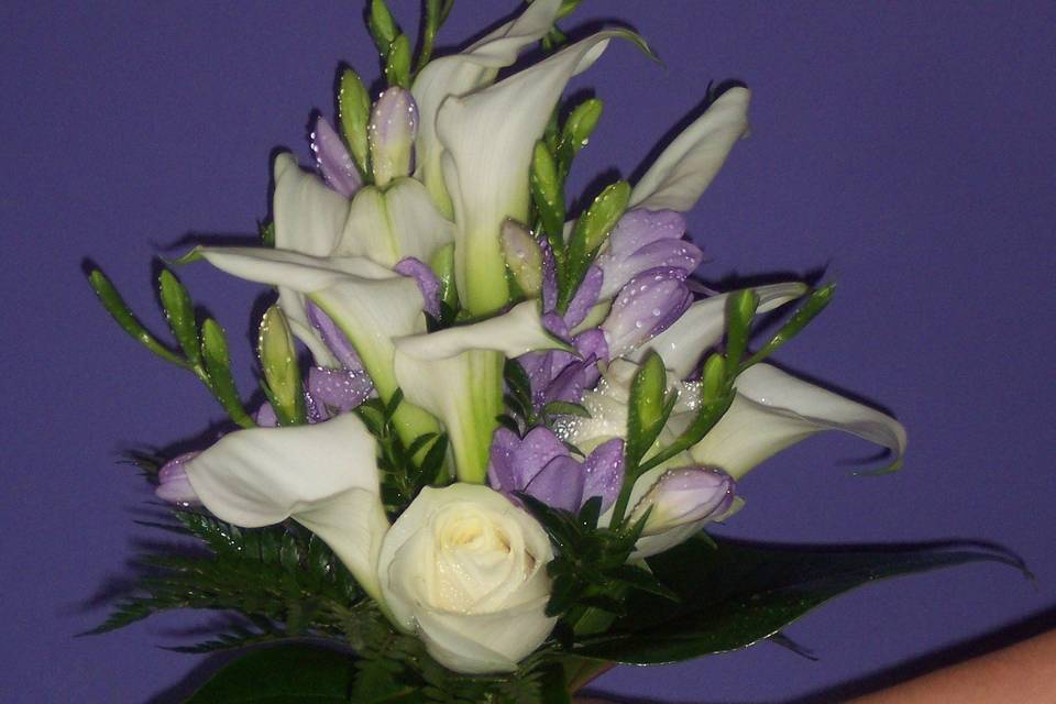 Floristeria Petunia