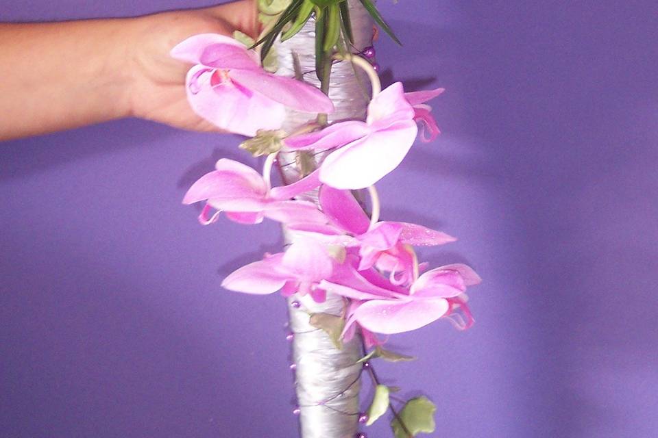 Floristeria Petunia