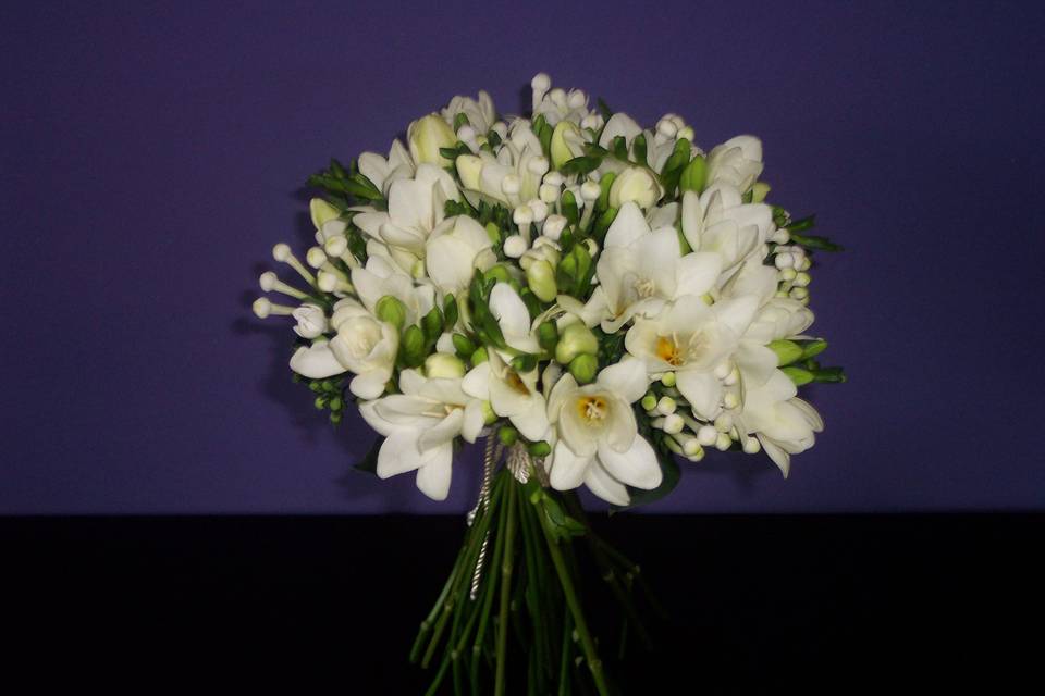 Floristeria Petunia