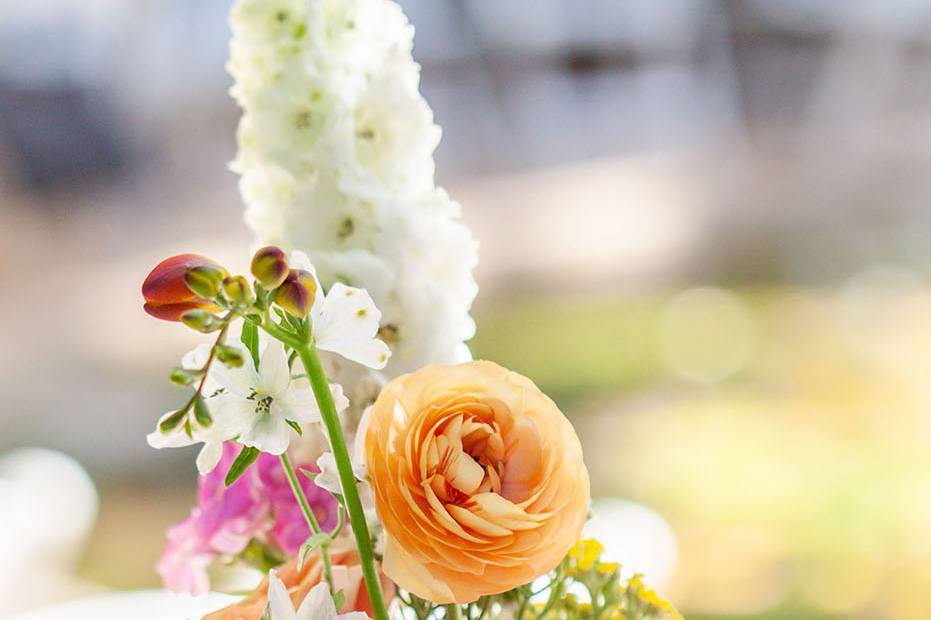 Boda en un jardín