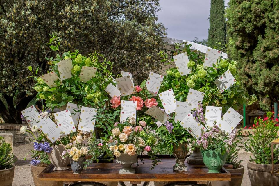 Boda en los Cordova