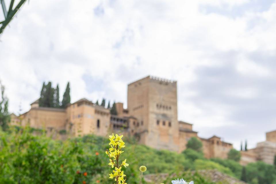 Boda con vistas Alhambra