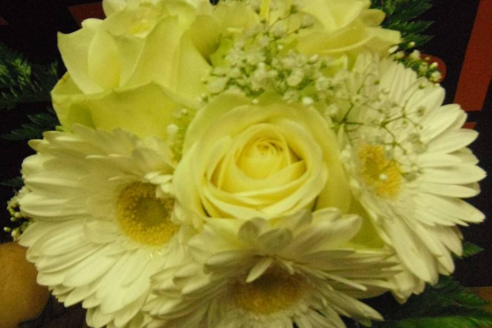 Bouquet de gerberas