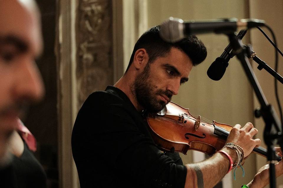 Violín