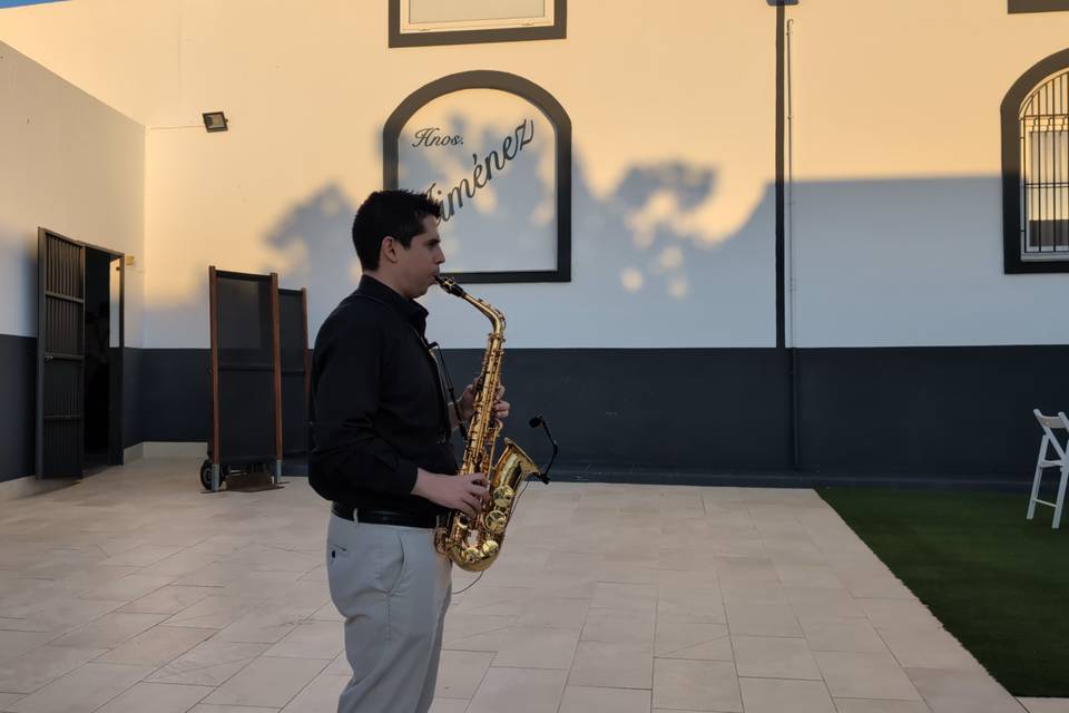 Amenización