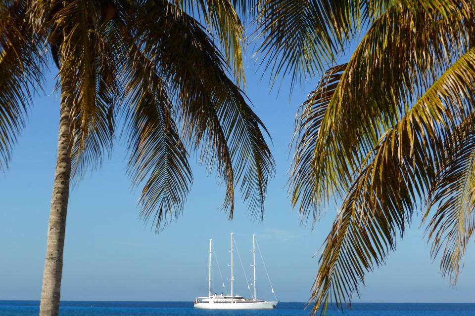 Pequeños barcos por el mundo