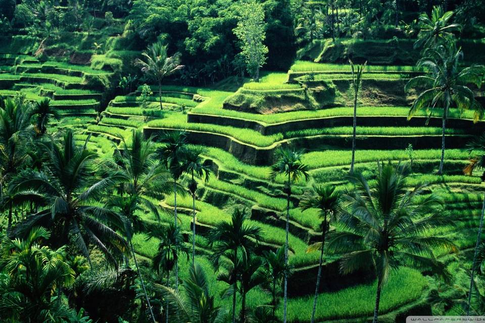 Bali, Indonesia