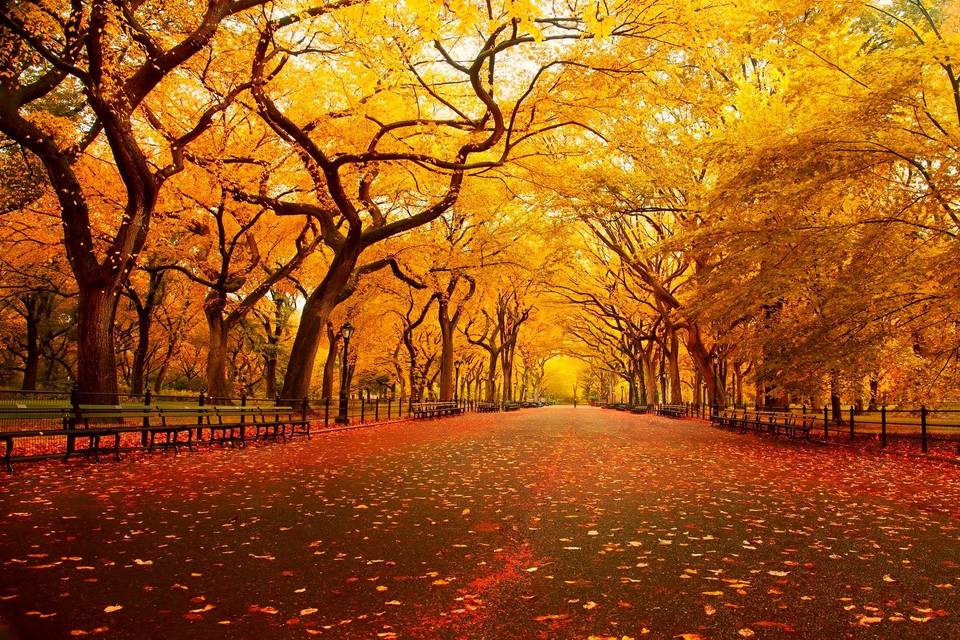 Central Park en otoño