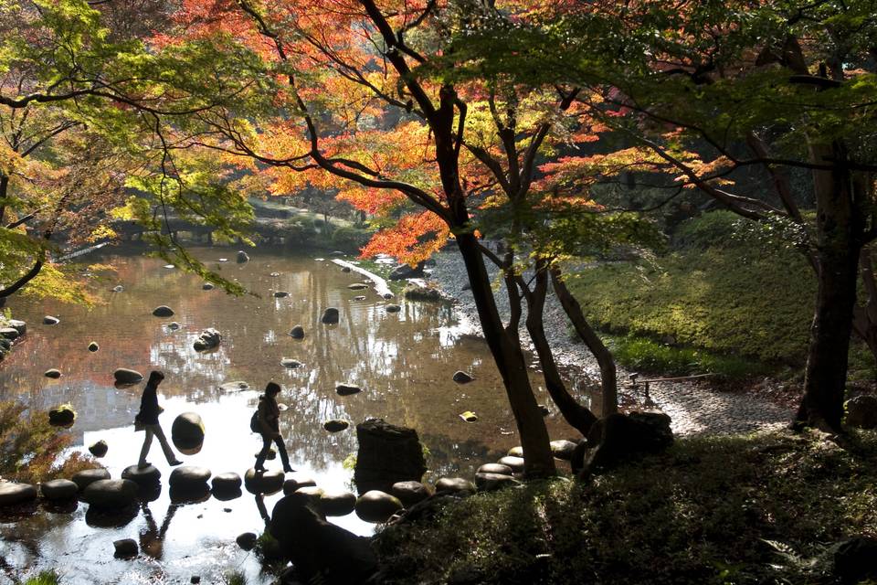 Paisajes en otoño