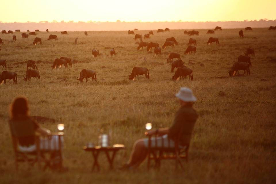 Safari en África