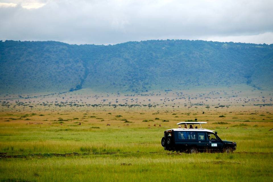 Vehículo de safari