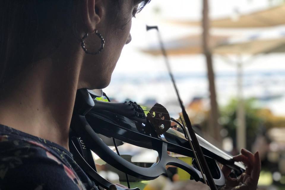 Violín eléctrico para los aperitivos