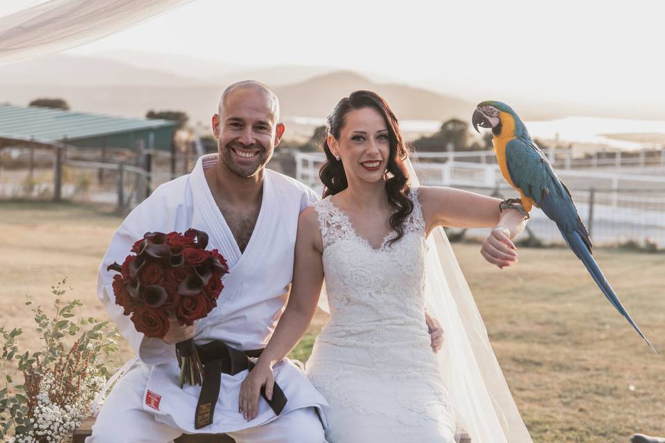 Foto con guacamayo