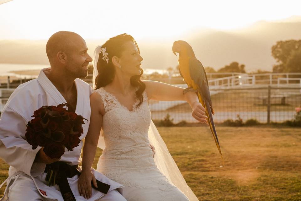 Novios con Guacamayo