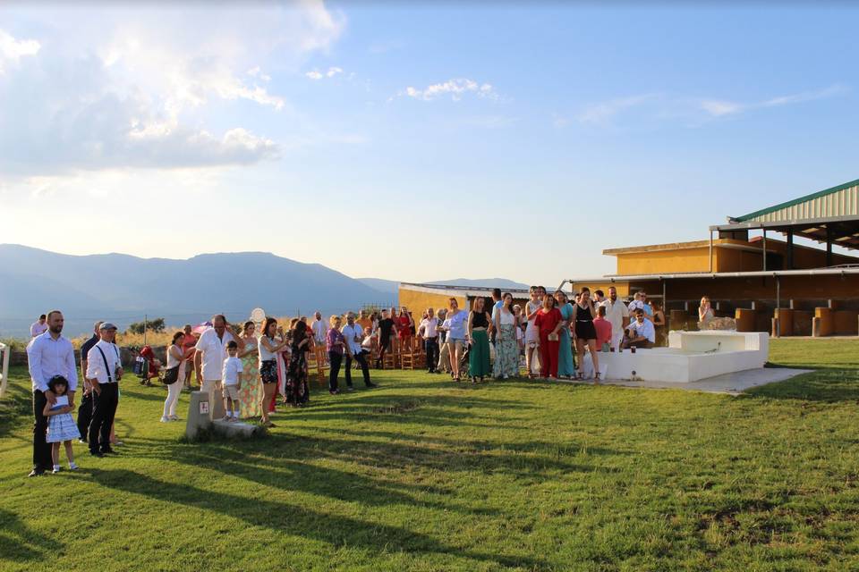 Familia de boda