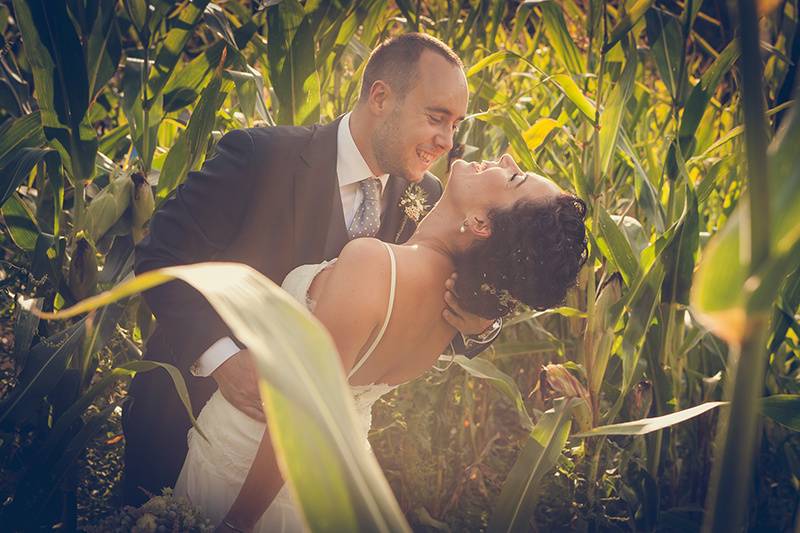 Fotos de boda