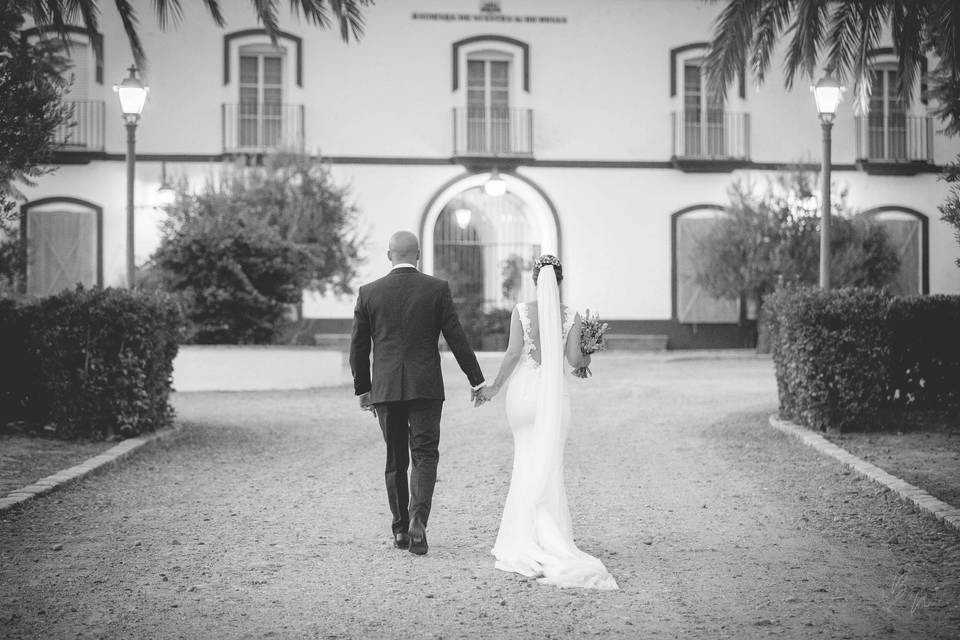 Bodas en Blanco y Negro