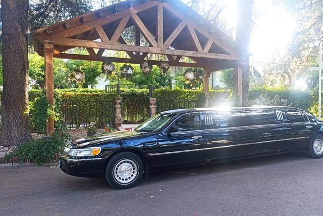Coche de bodas