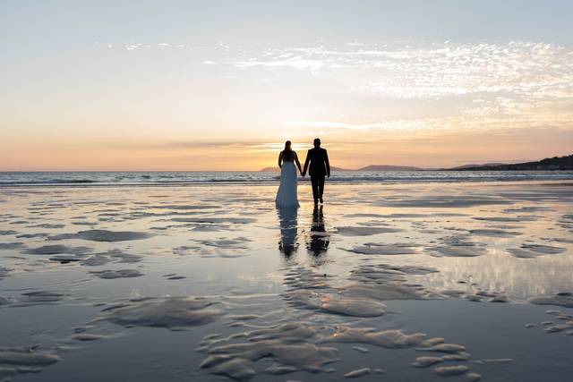 Postboda carnota