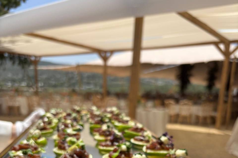Aperitivos