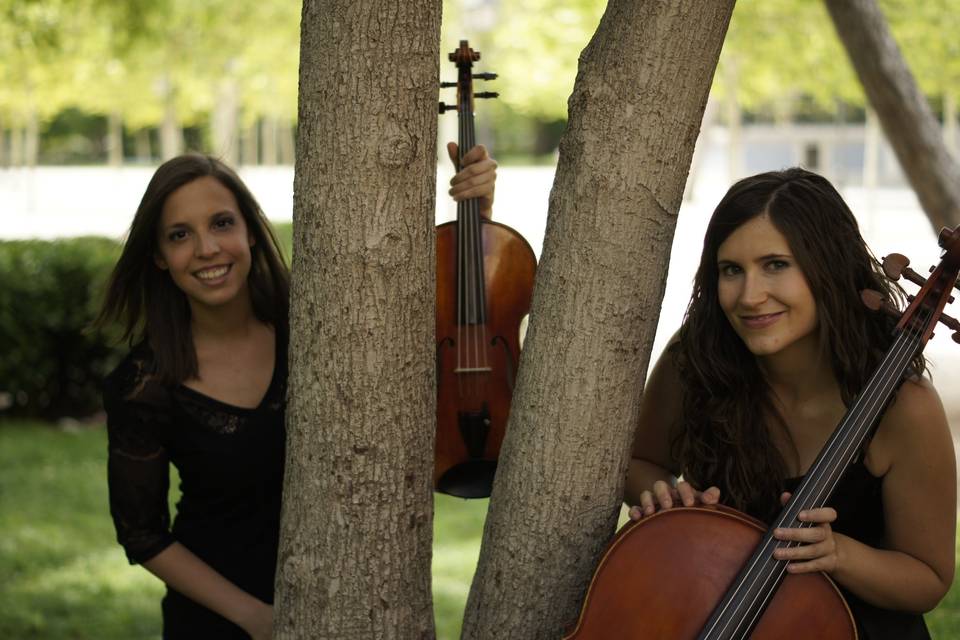 Viola y violoncello